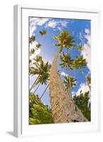 Curvy Coconut Palm Tree.-FADIL AZIZ-Framed Photographic Print