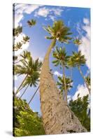 Curvy Coconut Palm Tree.-FADIL AZIZ-Stretched Canvas