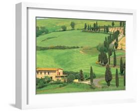 Curvy Tuscan Road, Tuscany, Italy-Walter Bibikow-Framed Premium Photographic Print