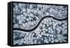 Curvy Windy Road in Snow Covered Forest, Top down Aerial View.-null-Framed Stretched Canvas