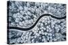 Curvy Windy Road in Snow Covered Forest, Top down Aerial View.-null-Stretched Canvas