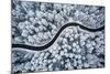 Curvy Windy Road in Snow Covered Forest, Top down Aerial View.-null-Mounted Photographic Print