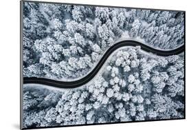 Curvy Windy Road in Snow Covered Forest, Top down Aerial View.-null-Mounted Photographic Print