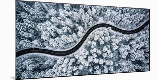 Curvy Windy Road in Snow Covered Forest, Top down Aerial View-merc67-Mounted Photographic Print