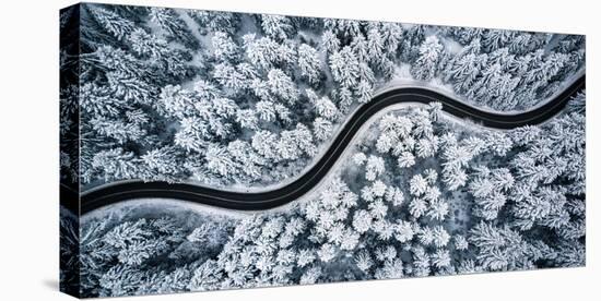 Curvy Windy Road in Snow Covered Forest, Top down Aerial View-merc67-Stretched Canvas