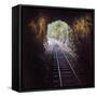 Cusco Region, Peru. Machu Pichu-Cusco Railway. A shot from a train exiting a tunnel-Janet Muir-Framed Stretched Canvas