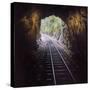 Cusco Region, Peru. Machu Pichu-Cusco Railway. A shot from a train exiting a tunnel-Janet Muir-Stretched Canvas