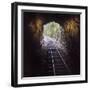 Cusco Region, Peru. Machu Pichu-Cusco Railway. A shot from a train exiting a tunnel-Janet Muir-Framed Photographic Print