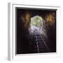 Cusco Region, Peru. Machu Pichu-Cusco Railway. A shot from a train exiting a tunnel-Janet Muir-Framed Photographic Print