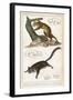 Cuscus-null-Framed Art Print