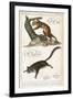 Cuscus-null-Framed Art Print