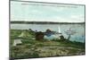 Cushing's Island, Maine, View of Cushing's Landing, Cape Shore in the Distance-Lantern Press-Mounted Art Print