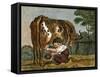 Cushy Cow Bonny-null-Framed Stretched Canvas