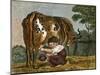 Cushy Cow Bonny-null-Mounted Art Print