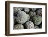 Custard Apple Also Known As Fruta-Do-Conde In Brazil-Lucato-Framed Photographic Print