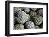 Custard Apple Also Known As Fruta-Do-Conde In Brazil-Lucato-Framed Photographic Print