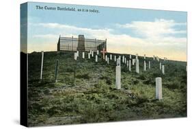 Custer Battlefield-null-Stretched Canvas