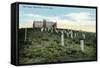 Custer Battlefield-null-Framed Stretched Canvas