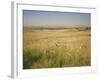 Custer's Last Stand Battlefield, Custer's Grave Site Marked by Dark Shield on Stone, Montana, USA-Geoff Renner-Framed Photographic Print