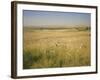 Custer's Last Stand Battlefield, Custer's Grave Site Marked by Dark Shield on Stone, Montana, USA-Geoff Renner-Framed Photographic Print