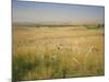 Custer's Last Stand Battlefield, Custer's Grave Site Marked by Dark Shield on Stone, Montana, USA-Geoff Renner-Mounted Photographic Print