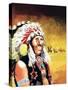 Custer's Last Stand-Don Lawrence-Stretched Canvas