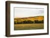 Custer State Park-null-Framed Photographic Print