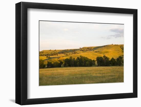 Custer State Park-null-Framed Photographic Print