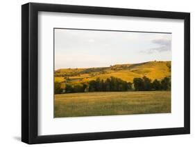 Custer State Park-null-Framed Photographic Print