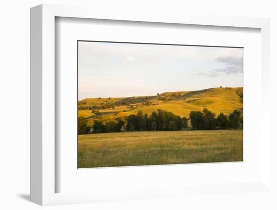 Custer State Park-null-Framed Photographic Print