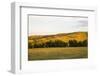 Custer State Park-null-Framed Photographic Print