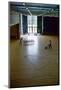 Custodians Move Furniture and Polish Wood Floors of College Activity Hall. Usa 1954-Nina Leen-Mounted Photographic Print