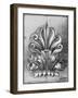 Custom Classical Sketch III-Ethan Harper-Framed Art Print