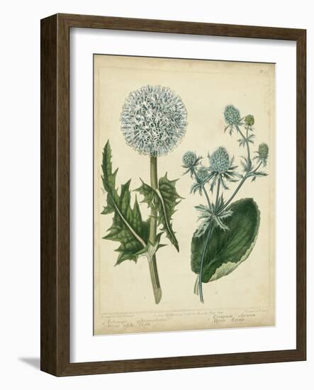 Custom Cottage Florals III (DA)-Sydenham Edwards-Framed Art Print