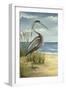 Custom Crop Shore Bird I (ST)-Ethan Harper-Framed Art Print