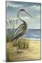 Custom Crop Shore Bird I (ST)-Ethan Harper-Mounted Art Print