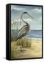 Custom Crop Shore Bird I (ST)-Ethan Harper-Framed Stretched Canvas