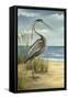 Custom Crop Shore Bird I (ST)-Ethan Harper-Framed Stretched Canvas