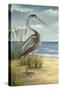 Custom Crop Shore Bird I (ST)-Ethan Harper-Stretched Canvas