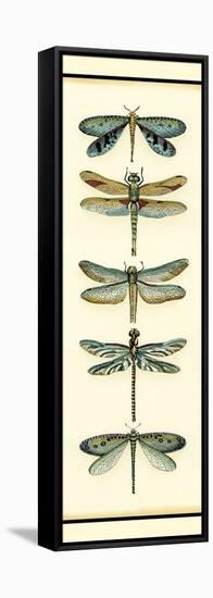 Custom Dragonfly Collector I (HH)-Chariklia Zarris-Framed Stretched Canvas