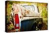 Custom Ford-Jessica Rogers-Stretched Canvas