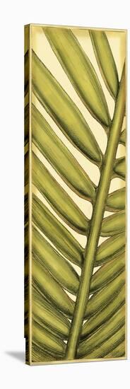 Custom Graphic Palms V-Jennifer Goldberger-Stretched Canvas