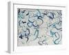 Custom Scribble-Kari Taylor-Framed Giclee Print