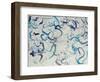 Custom Scribble-Kari Taylor-Framed Giclee Print