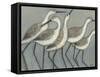 Custom Shore Birds II (AH)-Norman Wyatt-Framed Stretched Canvas