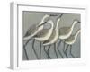 Custom Shore Birds II (AH)-Norman Wyatt-Framed Art Print