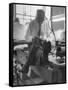 Custom Tailor Ernest Preedik Sitting on Table and Working in Factory-Ralph Morse-Framed Stretched Canvas