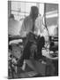 Custom Tailor Ernest Preedik Sitting on Table and Working in Factory-Ralph Morse-Mounted Photographic Print