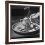 Customer Cooking Up the Opium to Prepare It For Smoking-George Lacks-Framed Photographic Print