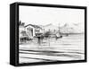 Customs Boat at Oban, 2007-Vincent Alexander Booth-Framed Stretched Canvas